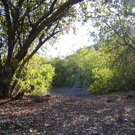 Las Lomitas De Guayacan, Cabanas Y Spa San José de Maipo Zewnętrze zdjęcie