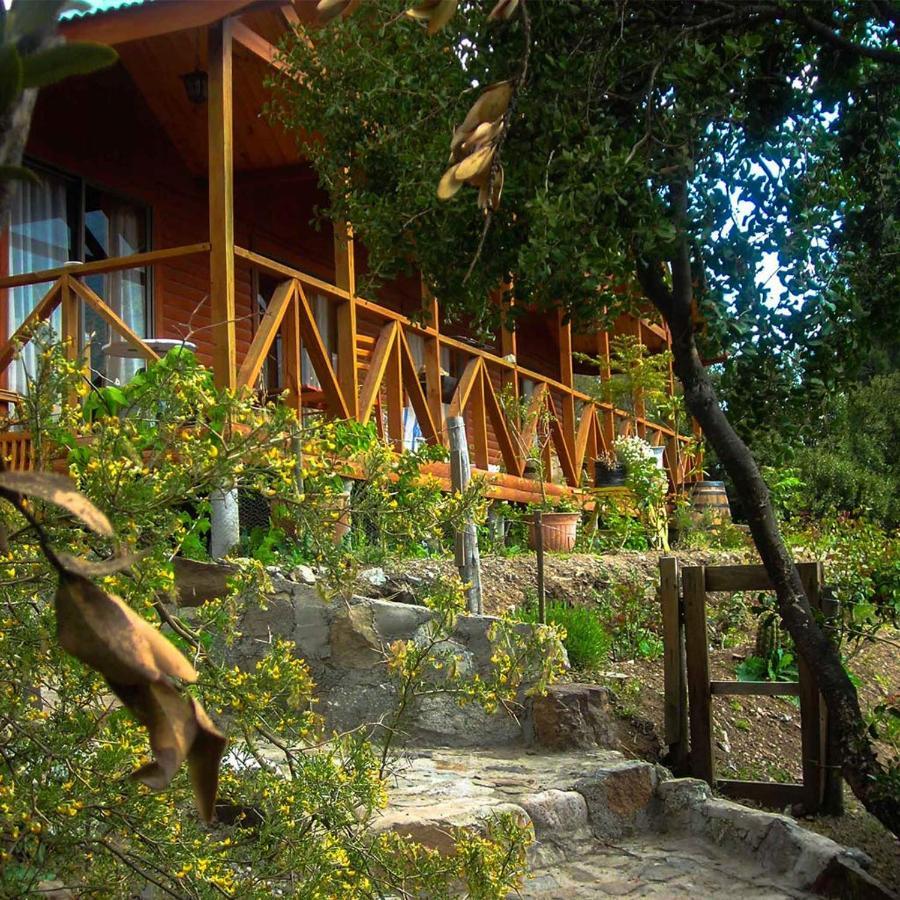 Las Lomitas De Guayacan, Cabanas Y Spa San José de Maipo Zewnętrze zdjęcie